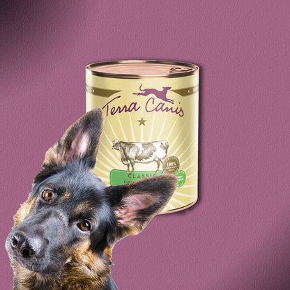 6x400g Terra Canis Rind mit Karotte, Apfel & Naturreis