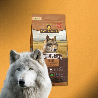 12,5kg Wolfsblut Wide Plain Adult – Pferd mit Süßkartoffeln