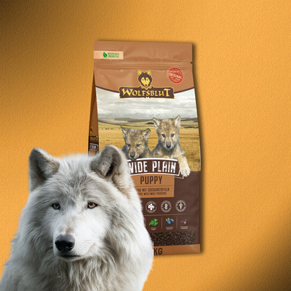 12,5kg Wolfsblut Wide Plain Puppy - Pferd mit Süßkartoffeln