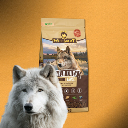 12,5kg Wolfsblut Wild Duck Adult Large – Ente mit Kartoffeln