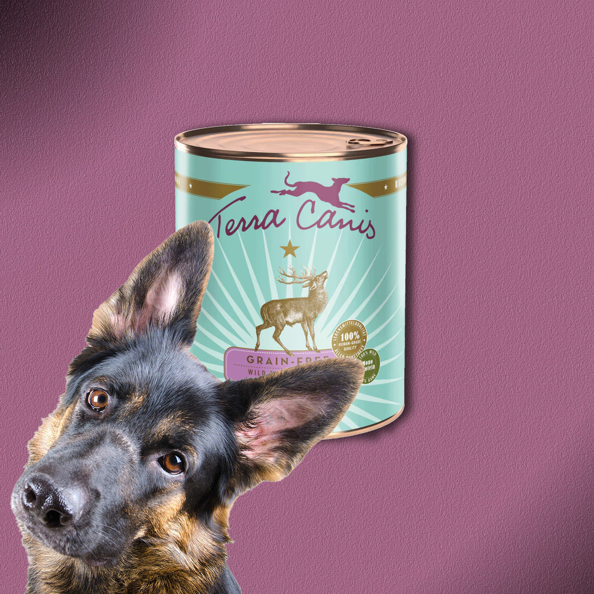 6x800g  Terra Canis Grain-Free Wild mit Kartoffel, Apfel & Preiselbeere