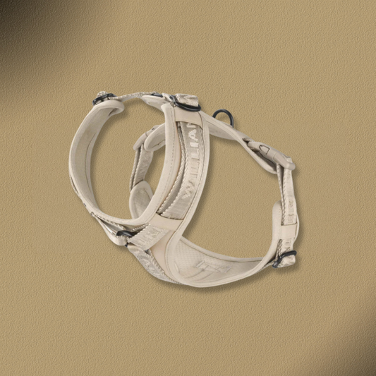 William Walker Hochwertiges Y-Hundegeschirr Sand