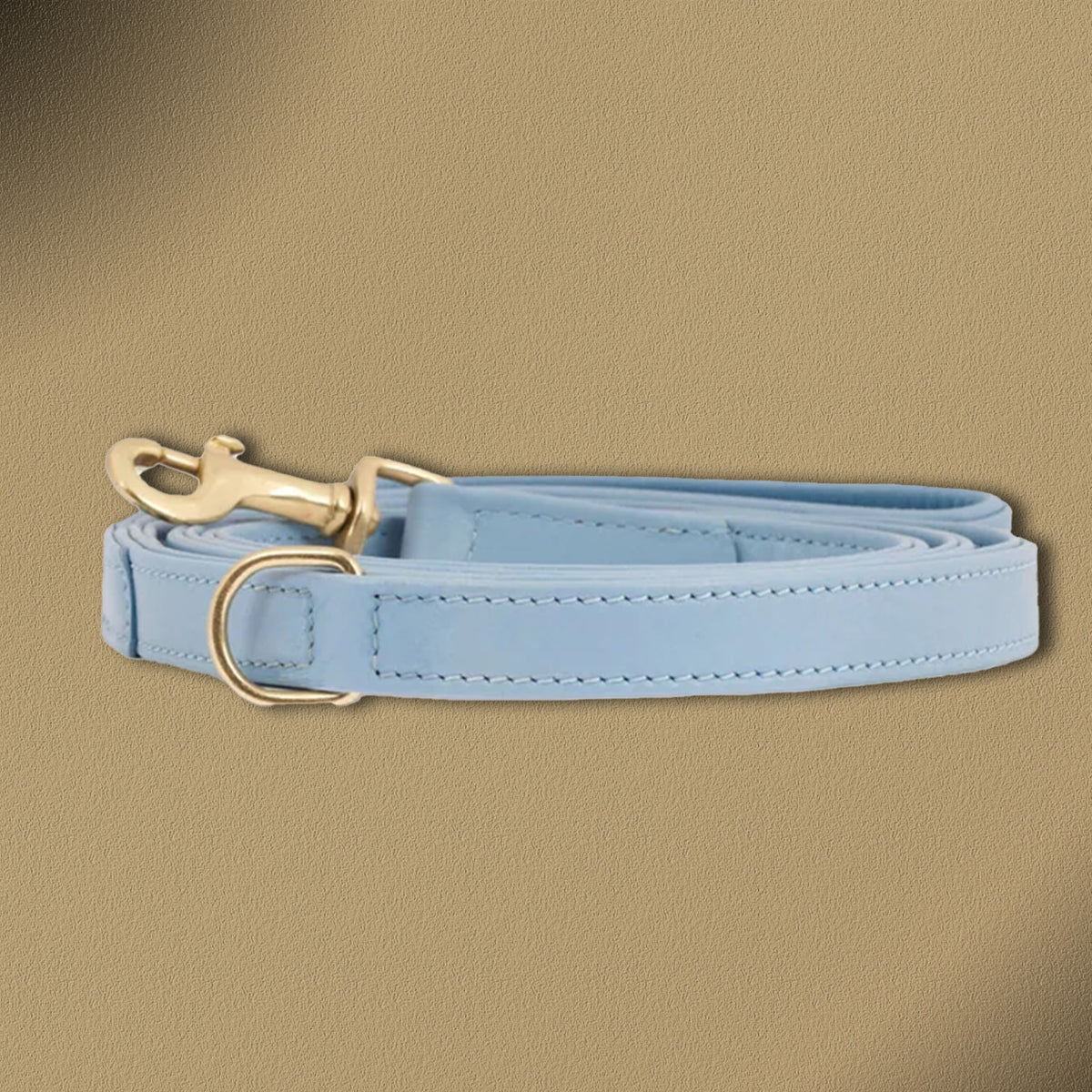 William Walker Hochwertige Leder Hundeleine Plain