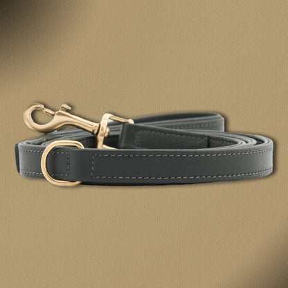 William Walker Hochwertige Leder Hundeleine Plain